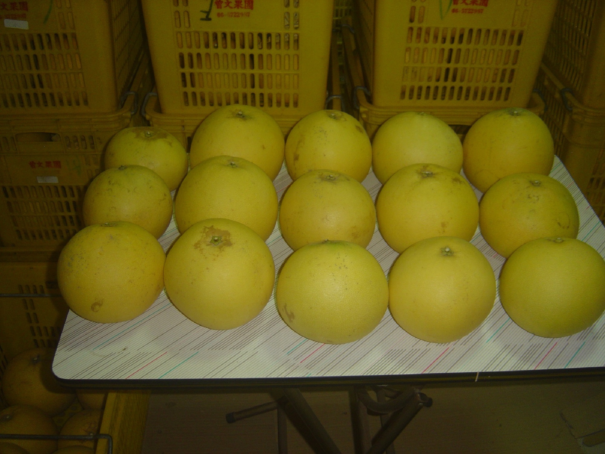 白柚產品圖片